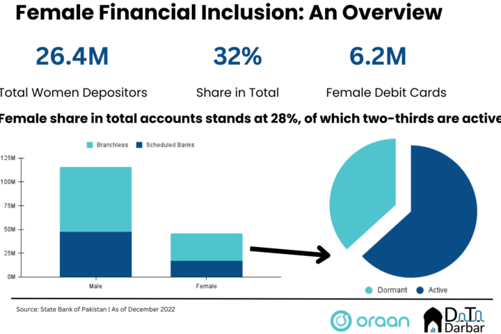 Female Financial Inclusion Overview